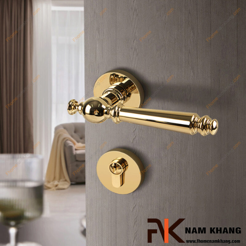 Khóa cửa tay gạt hay khóa phân thể: Đâu là lựa chọn phù hợp cho cửa chính?